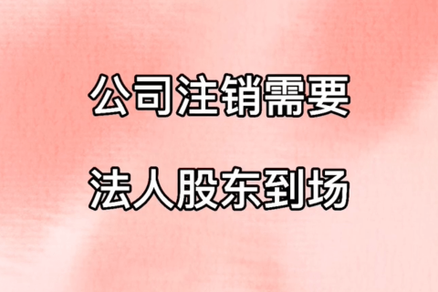 拉薩公司注銷，需要法人、股東到場嗎？