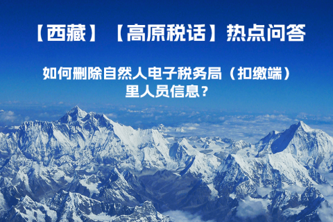 如何刪除西藏自然人電子稅務(wù)局（扣繳端）里人員信息？