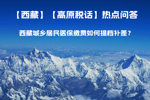 西藏城鄉(xiāng)居民醫(yī)保繳費(fèi)如何提檔補(bǔ)差？
