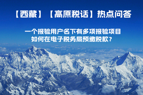 一個報驗用戶名下有多項報驗項目，如何在電子稅務(wù)局預(yù)繳稅款？