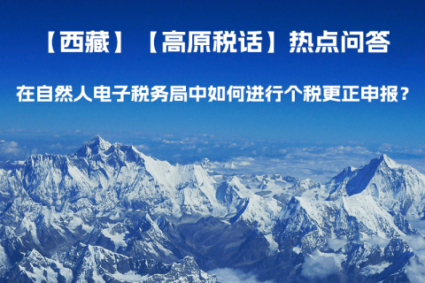在自然人電子稅務(wù)局中如何進行個稅更正申報？