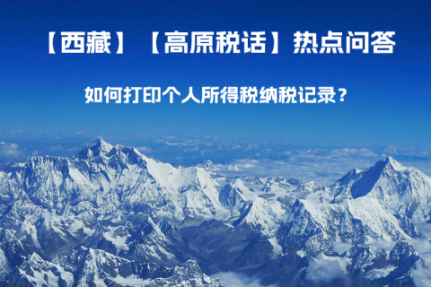 如何打印個人所得稅納稅記錄？