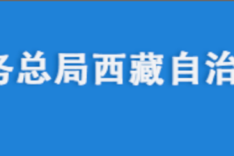 電腦更換后，自然人電子稅務(wù)局扣繳端申報收入額如何進行累計？