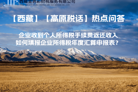 企業(yè)收到個(gè)人所得稅手續(xù)費(fèi)返還收入，如何填報(bào)企業(yè)所得稅年度匯算申報(bào)表？