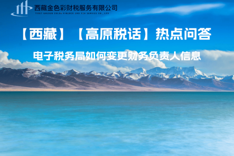 西藏電子稅務(wù)局如何變更財(cái)務(wù)負(fù)責(zé)人信息？